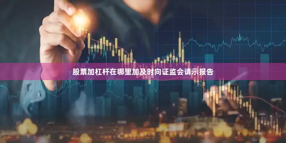 股票加杠杆在哪里加及时向证监会请示报告