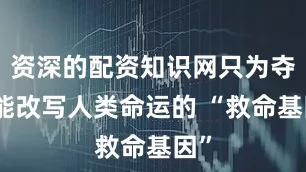 资深的配资知识网只为夺取能改写人类命运的 “救命基因”