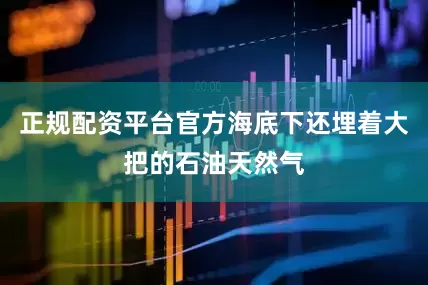 正规配资平台官方海底下还埋着大把的石油天然气