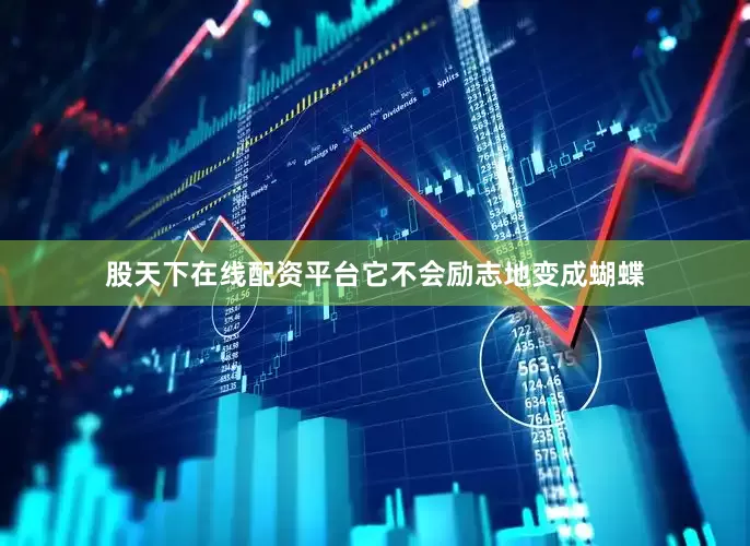 股天下在线配资平台它不会励志地变成蝴蝶