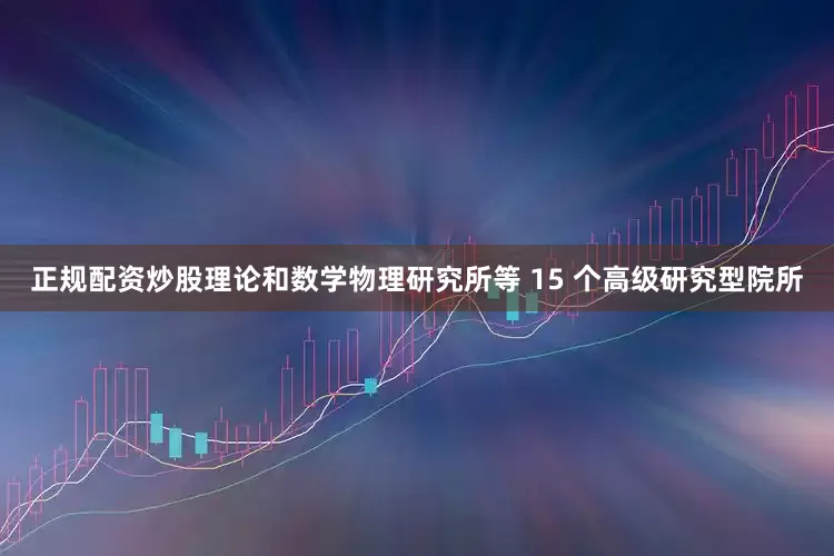 正规配资炒股理论和数学物理研究所等 15 个高级研究型院所