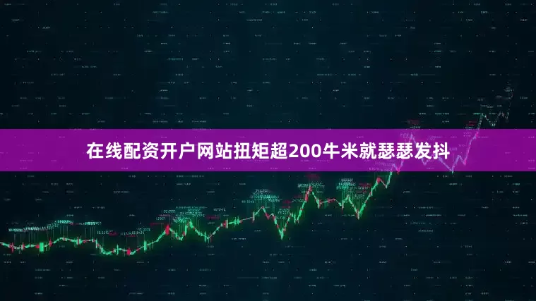 在线配资开户网站扭矩超200牛米就瑟瑟发抖
