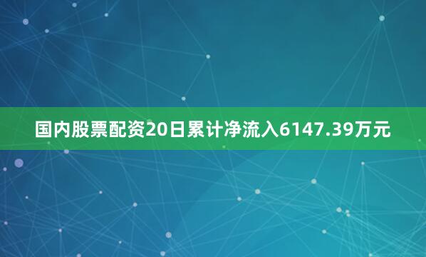 国内股票配资20日累计净流入6147.39万元